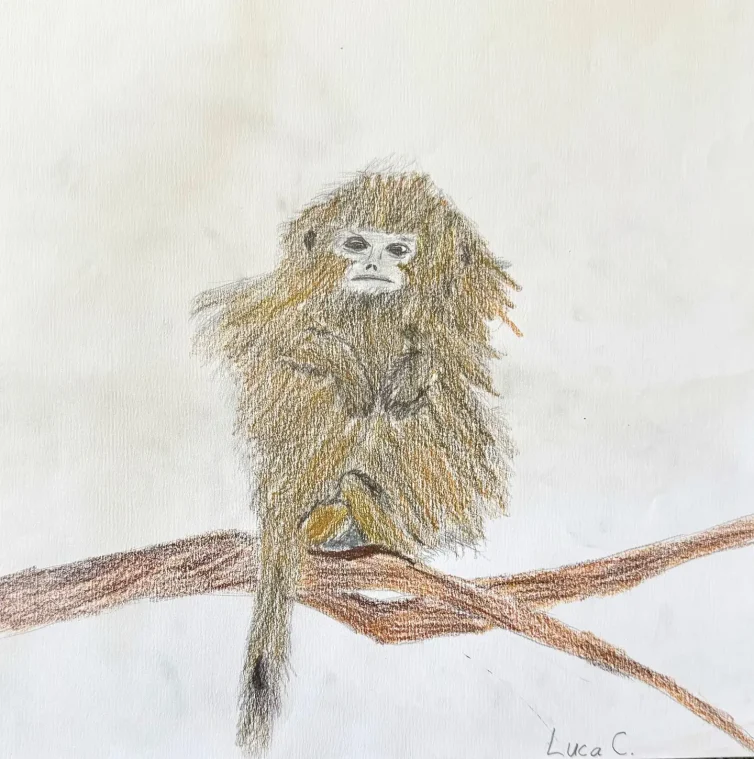 A. Luca_s_BEFORE - first_monkey_oil_pastel_drawing