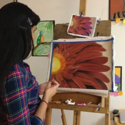 Student’s progress through the years (Chandana)