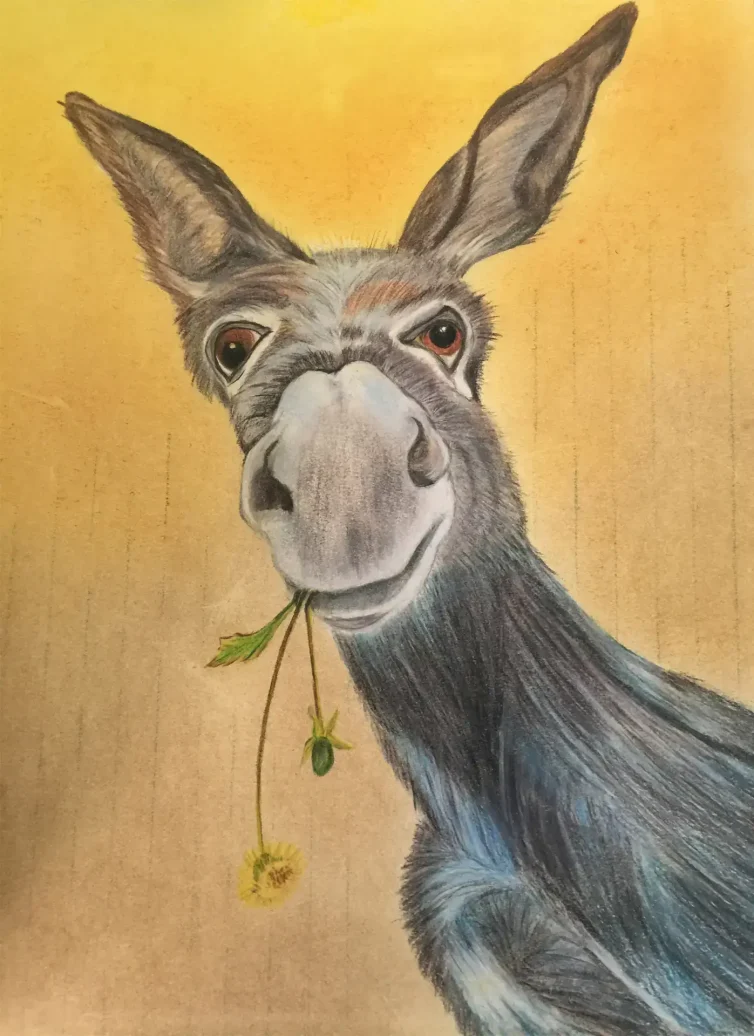 5. Alice_s_Detail_of donkey_colored_pencil_