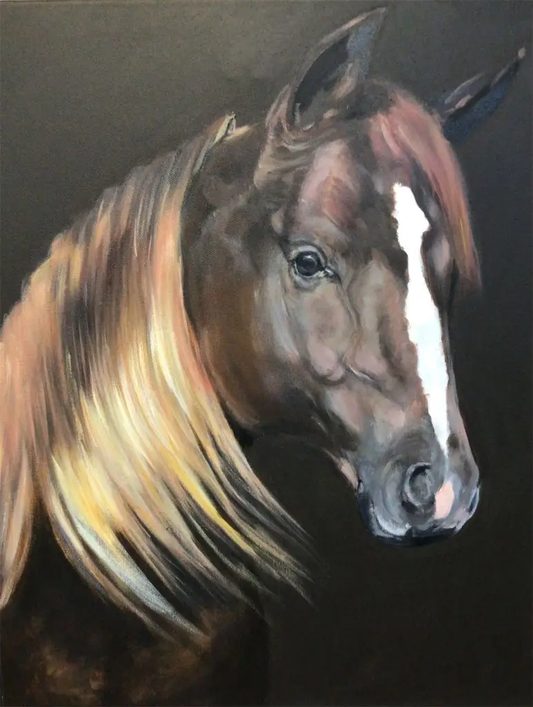 Arabian Horse. Acrylic on canvas. Ms Marcia